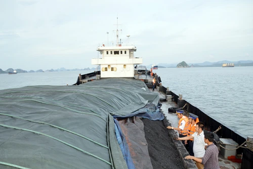Cảnh sát biển bắt giữ tàu vận chuyển 2.000 tấn than không rõ nguồn gốc