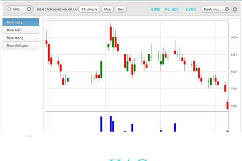 Cổ phiếu Hoàng Anh Gia Lai rơi xuống mức thấp nhất từ khi niêm yết