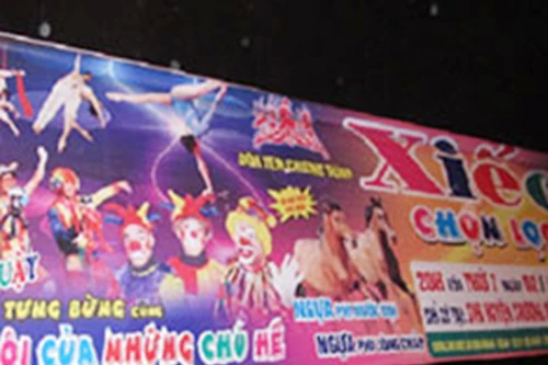 Mắc vạ vì xiếc rởm 