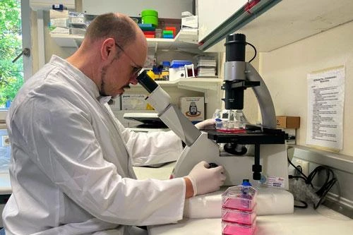 Tổ chức Y tế thế giới (WHO): Cảnh báo nguy cơ dịch đậu mùa khỉ bùng phát toàn châu Âu