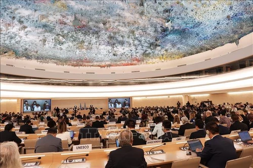 Xây dựng và hợp tác để bảo vệ và thúc đẩy quyền con người 