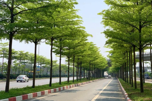 Điểm nhấn trên con đường hiện đại nhất Thủ đô