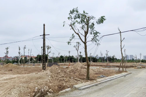 Dự thảo Luật Đất đai sửa đổi: Để giá đất bồi thường bám sát thị trường