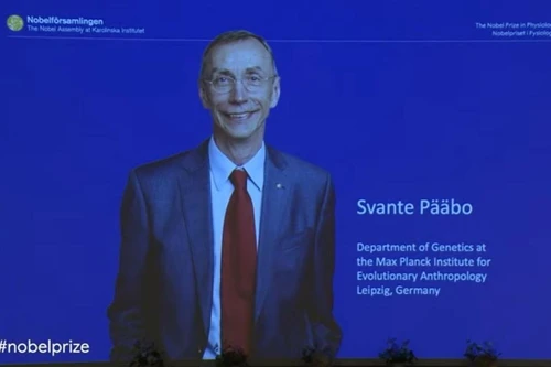 Giải Nobel Y sinh 2022 vinh danh nhà nghiên cứu về sự tiến hóa loài người 