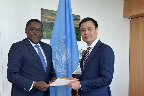 Chuyển đổi năng lượng - thúc đẩy tái cấu trúc nền kinh tế theo hướng bền vững: Liên hợp quốc sẵn sàng hỗ trợ Việt Nam trong thúc đẩy chuyển đổi năng lượng 