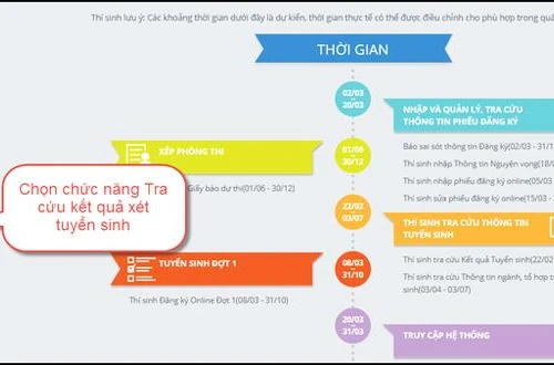 Các bước trong quy trình xác nhận nhập học trực tuyến 