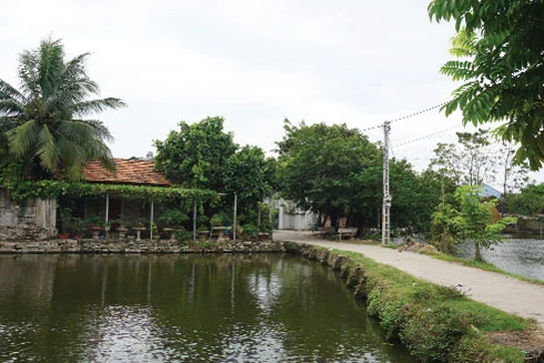 Lạ lùng ngôi làng có hơn 100 "họa sỹ nông dân"