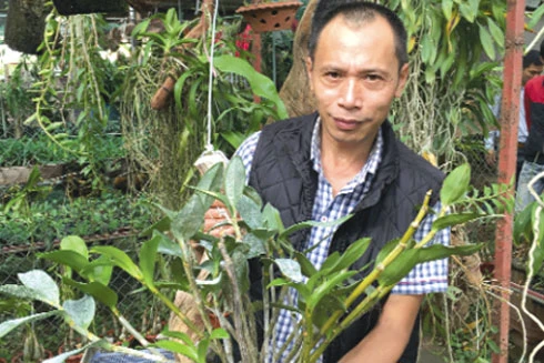 Thú chơi vương giả của người bình dân