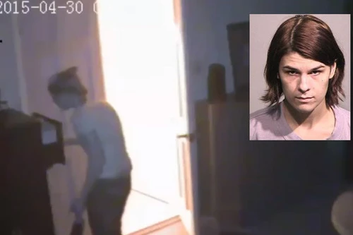 Thuê nhà được 2 tháng, trộm cắp của chủ 35.000 USD