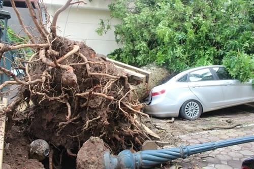 Bồi thương hơn 3,6 tỷ đồng cho khách hàng thiệt hại sau giông lốc tại Hà Nội