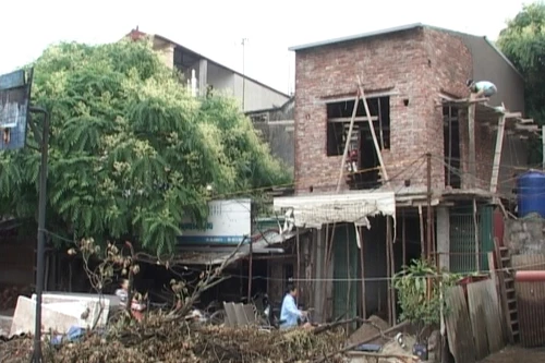 Kiện đòi nhà đất cho mượn – Tòa tuyên án đúng hay sai?