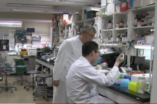 Đột phá mới trong việc chữa bệnh Parkinson