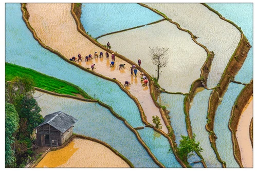 Việt Nam đẹp mơ màng qua ống kính của các nhà nhiếp ảnh Hà Nội