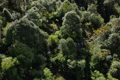 Những khoảnh khắc đầy xúc cảm của giải chạy Vượt núi Fansipan 2020