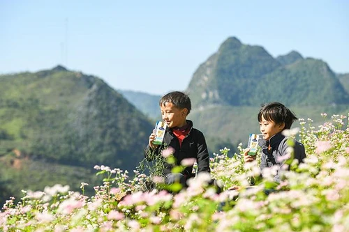 Vinamilk và Quỹ sữa Vươn cao Việt Nam tiếp tục hành trình trao sữa cho trẻ em tại 26 tỉnh thành trong năm thứ 14