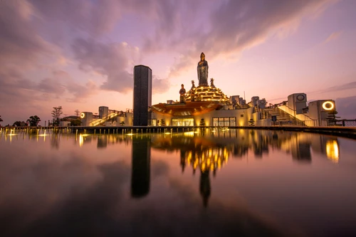 Núi Bà Đen hoá thiên đường hoa vạn người mê