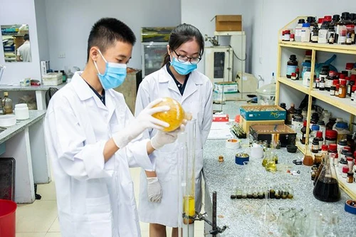 Mô hình đào tạo cá nhân hoá: Biến 'tiềm năng' thành 'tài năng'