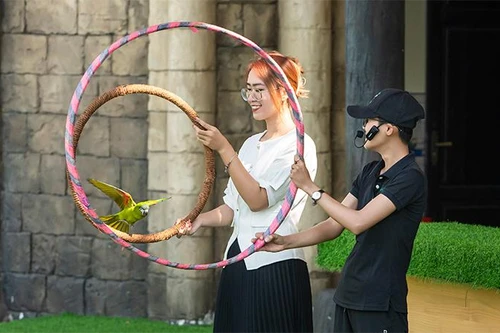 Show Vũ điệu chim trời lần đầu tiên có mặt ở Quảng Ninh