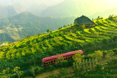 Đến Sun World Fansipan Legend chiêm ngưỡng thiên đường hoa đẹp như mơ