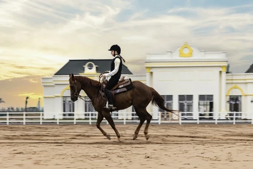 Học viện cưỡi ngựa Hoàng Gia ghi danh Việt Nam lên bản đồ môn thể thao quý tộc thế giới