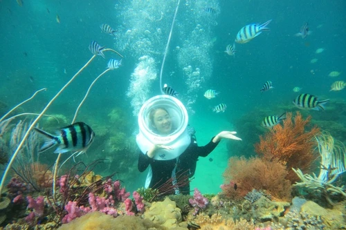 Hòn đảo này đã giúp Việt Nam lọt top điểm lặn biển tuyệt vời nhất châu Á