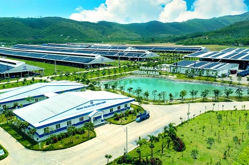 Bà Mai Kiều Liên được vinh danh Doanh nhân xuất sắc 2022, Vinamilk tiếp tục dẫn đầu các bảng xếp hạng thương hiệu