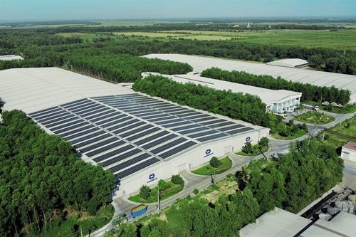 Net Zero: Từ cam kết đến những bước đi tiên phong của doanh nghiệp Việt