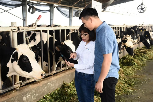 Friesland Campina Việt Nam tự hào nhận giải thưởng Trao quyền cho phụ nữ khu vực châu Á – Thái Bình Dương