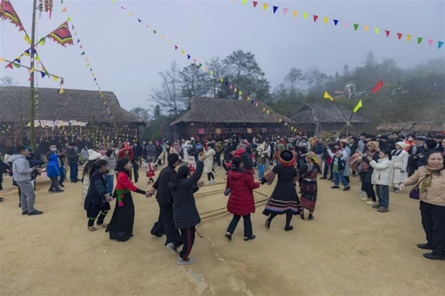 Sa Pa: Miễn phí vé tàu hỏa Mường Hoa cho 5 tỉnh, Fansipan hút khách mùa hoa đào nở rộ