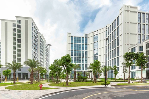 Học người giàu chọn cách mua nhà