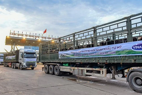 Hệ thống trang trại sinh thái Vinamilk Green Farm đón thêm 1.550 bò sữa nhập từ Mỹ