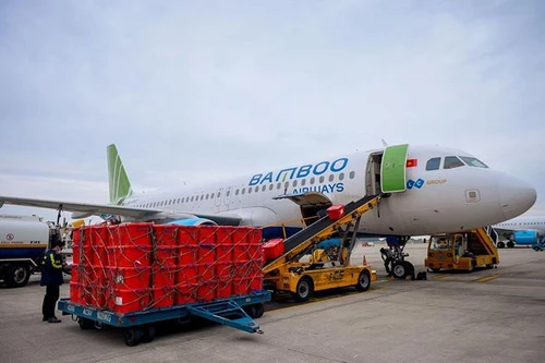 Tập đoàn FLC chung tay cùng Hải Dương chống dịch 