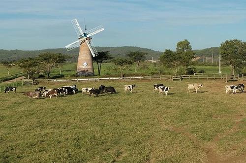 Nắm bắt xu hướng toàn cầu, các quỹ đầu tư tiên phong tìm kiếm cơ hội đầu tư ESG tại Việt Nam