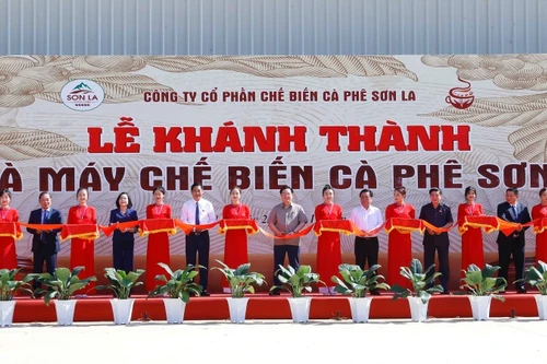 WinCommerce đồng hành cùng tỉnh Sơn La phát triển nguồn cung cà phê bền vững