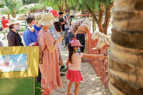 Bình Định đón hơn 155 nghìn lượt khách dịp Tết, tăng 40% so với cùng kỳ