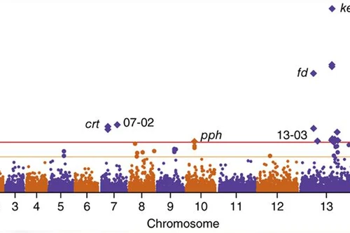 GS VinUni tìm ra “vũ khí" mới điều trị căn bệnh gây ra 400 ngàn ca tử vong mỗi năm