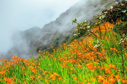 Khung cảnh biển mây tựa chốn ‘bồng lai tiên cảnh’ ở Sun World Fansipan Legend