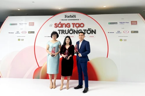 GELEX, Viglacera, CADIVI vào Top 25 thương hiệu dẫn đầu của Forbes Việt Nam