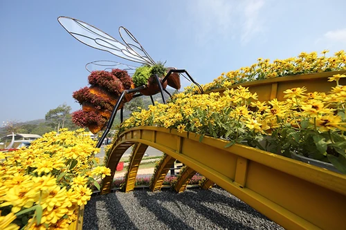 Nhiều trải nghiệm hấp dẫn tại Hội Xuân núi Bà Đen Tết này với chủ đề ‘Hương sắc Tây Ninh’