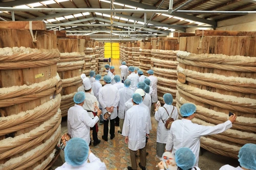 Đặc sắc ẩm thực 3 miền thăng hoa cùng nước mắm Việt tại nhà thùng CHIN-SU Phú Quốc