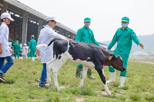 Quỹ sữa Vươn cao Việt Nam và Vinamilk dành nhiều món quà đặc biệt cho trẻ em nhân 15 năm thành lập