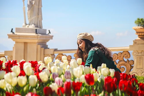 Thú vị trải nghiệm 3 ‘săn’ tại đỉnh Bà Nà