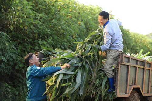 Từ nhỏ bé đến vĩ đại: Những điều làm nên lịch sử 145 năm của thương hiệu sữa toàn cầu