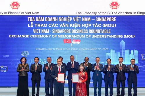 Trường đại học VinUni và Đại học NTU – Singapore ký kết hợp tác liên minh chiến lược