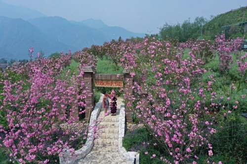 Ngày hội Sa Pa tại Hà Nội: Sun World Fansipan Legend tặng hàng trăm vé cáp treo, tàu hỏa leo núi