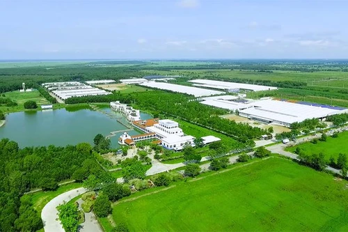 Vinamilk – đại diện duy nhất của Đông Nam Á trong 4 bảng xếp hạng toàn cầu về giá trị và sức mạnh thương hiệu