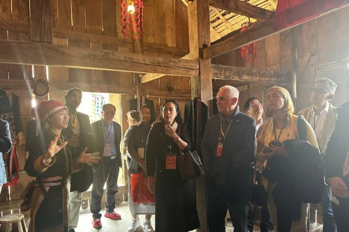 Đoàn đại sứ và doanh nghiệp quốc tế khám phá Fansipan