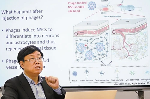 Những ngôi sao khoa học nào sẽ thắp sáng bầu trời tri thức tại Tuần lễ Khoa học Công nghệ VinFuture 2025?
