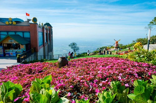 ‘Núi Bà Đen’ thành từ khoá hot với hàng triệu lượt tìm kiếm trên Google mỗi tháng