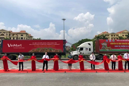 VinMart/VinMart+ “tung” khuyến mại lớn, cam kết tiêu thụ 500 tấn nhãn lồng đặc sản Hưng Yên